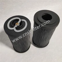 Dychwelyd Elfen Hidlo DP1A401EA01V/-F